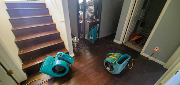 Orion, IL Water damage restoration Company