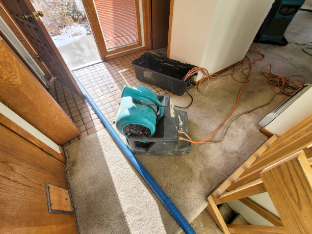 Best Ceiling water damage repair  in Orion, IL
