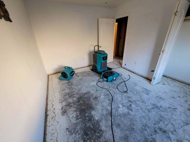 Best Sewage cleanup and water damage restoration  in Orion, IL