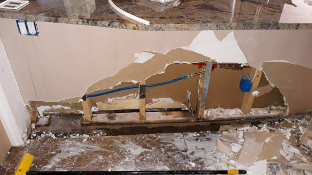 Best Water damage contractors near me  in Orion, IL