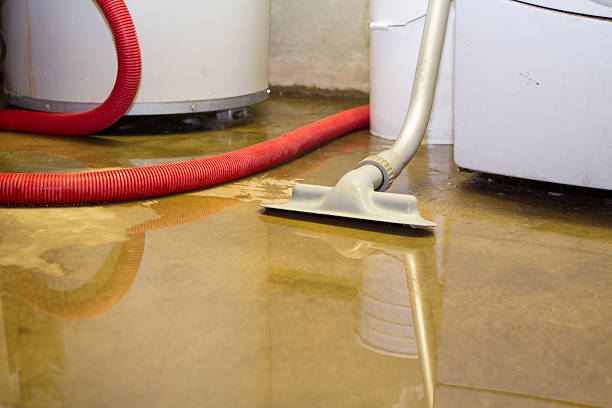 Best Sewage cleanup and water damage restoration  in Orion, IL