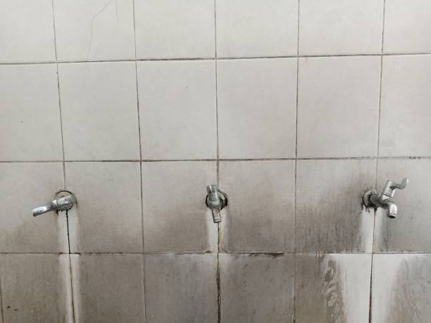 Best Water damage restoration process  in Orion, IL