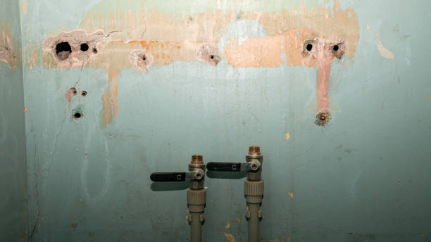 Best 24/7 water damage repair  in Orion, IL