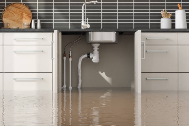 Water damage restoration process in Orion, IL