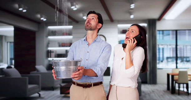 Best Residential water damage restoration  in Orion, IL