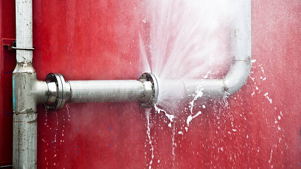 Best Ceiling water damage repair  in Orion, IL
